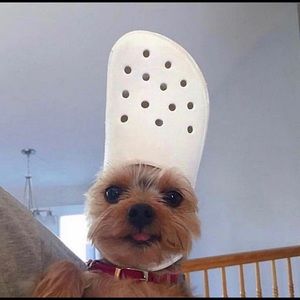 Meet your Posher, Jayda